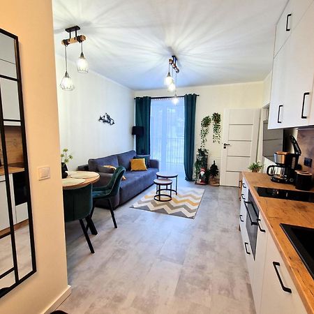 Apartament W Szklarskiej Porebie - Ostoja Parku Narodowego 斯克拉斯卡波伦巴 外观 照片