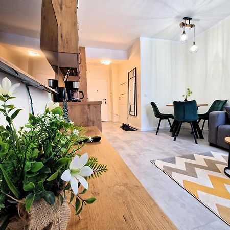 Apartament W Szklarskiej Porebie - Ostoja Parku Narodowego 斯克拉斯卡波伦巴 外观 照片